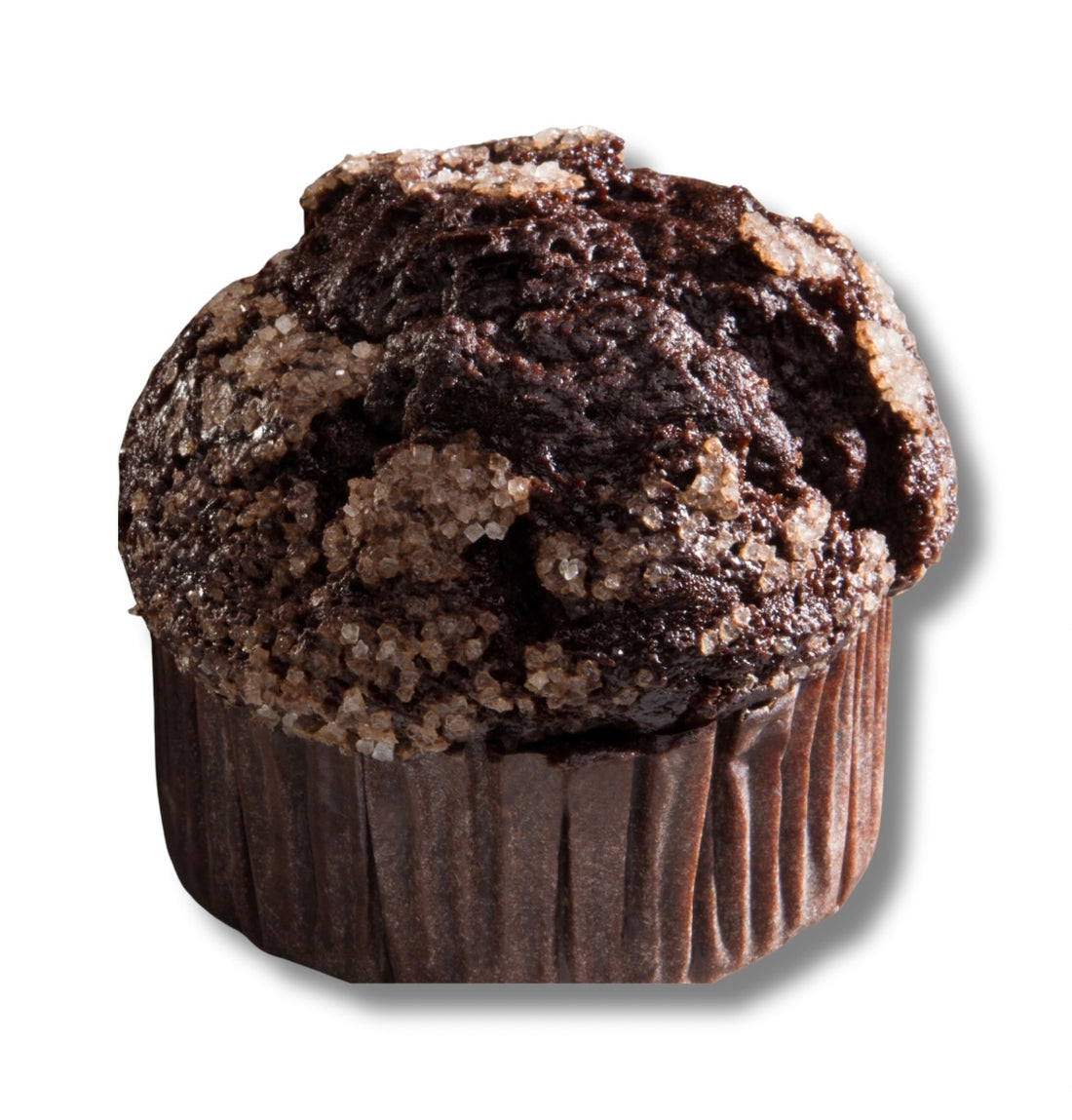 Chocolate Muffin